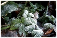 balade_28122006_04.jpg